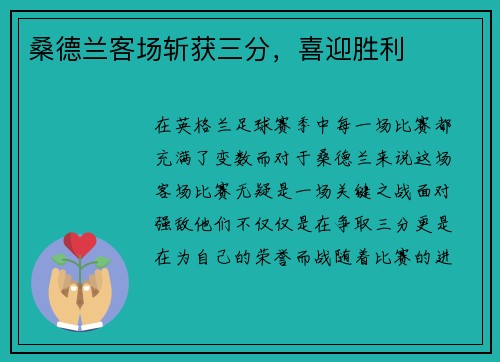 桑德兰客场斩获三分，喜迎胜利