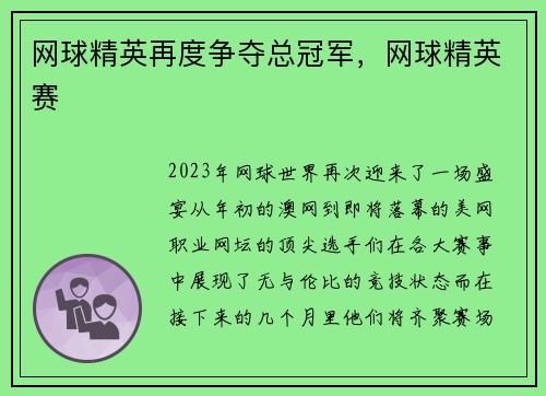 网球精英再度争夺总冠军，网球精英赛