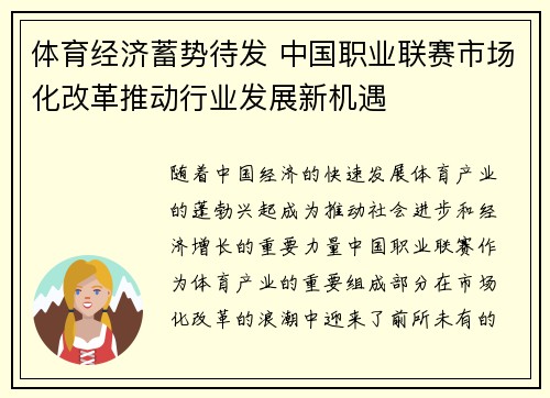 体育经济蓄势待发 中国职业联赛市场化改革推动行业发展新机遇